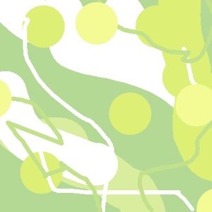 Meet your Posher, Katelyn